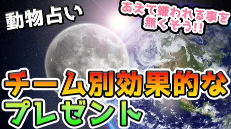 【どうぶつ占い 3分類編】 チーム別オススメのプレゼント