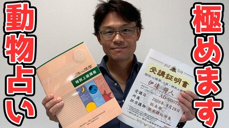 【どうぶつ占い 3分類編】3分類についてちゃんと分かってますか?
