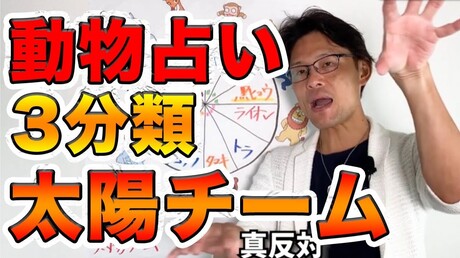 【どうぶつ占い 3分類編】太陽チームについて解説します