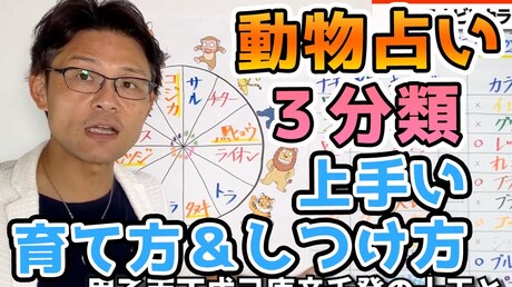 【どうぶつ占い 3分類編】チーム別! 育て方 & しつけ方