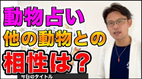 【どうぶつ占い その他】どうぶつ占い大全 相性編