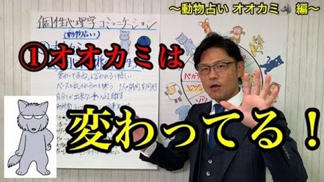 【どうぶつ占い 12動物編】 ①狼(オオカミ)は変わってる