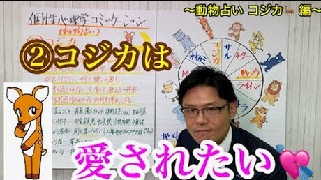 【どうぶつ占い 12動物編】②こじかは愛されたい 甘えたさん