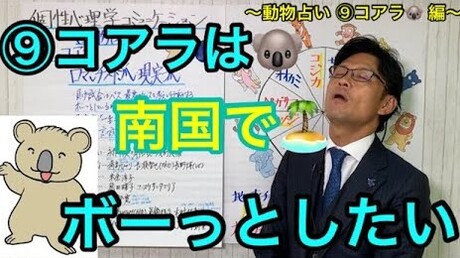 【どうぶつ占い 12動物編】⑨子守熊はボ~っとする時間が必要