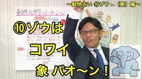 【どうぶつ占い 12動物編】 ⑩ゾウは怒らせるとめちゃ怖い!