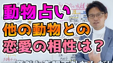【どうぶつ占い 恋愛相性編】恋愛の相性が良い動物とは？