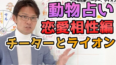 【どうぶつ占い 恋愛相性編】チータとライオンの恋愛事情