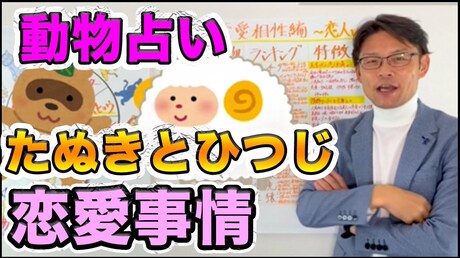 【どうぶつ占い 恋愛相性編】たぬきとひつじの恋愛相性