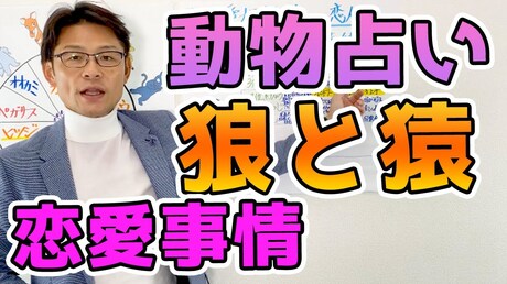 【どうぶつ占い 恋愛相性編】狼(オオカミ)と猿(サル)の恋愛相性