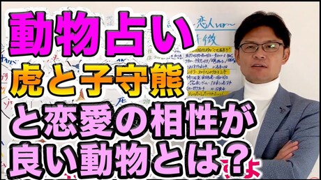 【どうぶつ占い 恋愛相性編】虎と子守熊との恋愛の相性が良い動物は?