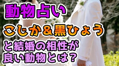 【どうぶつ占い 恋愛相性編】こじか・黒ひょうと結婚の相性が良い動物