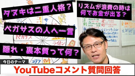 【どうぶつ占い お悩み相談編】コメントへの質問回答