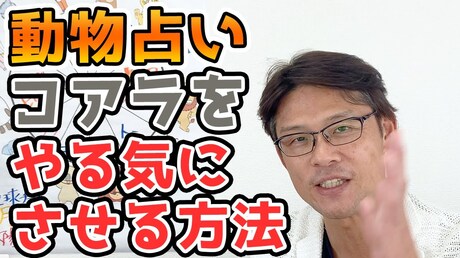 【どうぶつ占い お悩み相談編】やる気の無いコアラをやる気にさせる方法