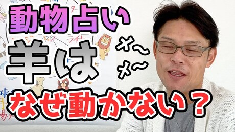 【どうぶつ占い お悩み相談編】なぜひつじは情報収集ばかりするの?