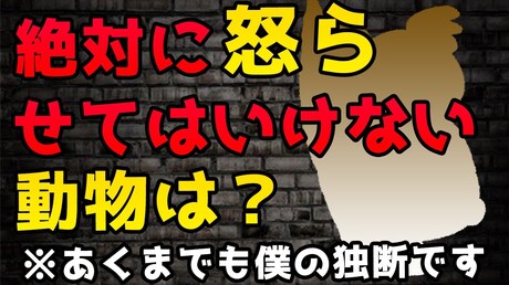【どうぶつ占い お悩み相談編】絶対に怒らせてはいけない動物とは?