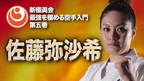 新極真会最強を極める空手入門　全四巻セット 新極真会最強を極める空手入門 全四巻セット Amazon.co.jp: