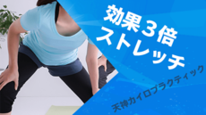 【未開封】吉本巧プロ　ドローボール習得マニュアル　レベルブローマスタープログラム 2025年最新】Yahoo!オークション -ドローボール習得マニュアルの
