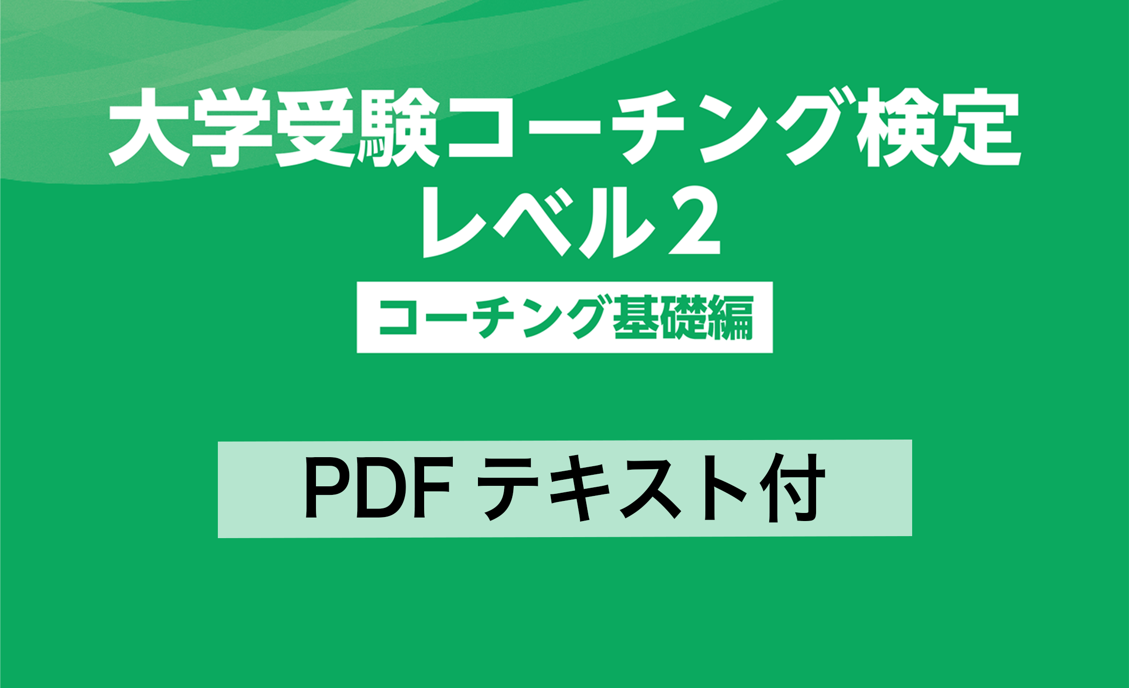 駿台　大学受験　英語　ドラゴンイングリッシュ　テキスト２冊　解答・解説プリント 駿台 大学受験 英語 ドラゴンイングリッシュ テキスト2冊 解答
